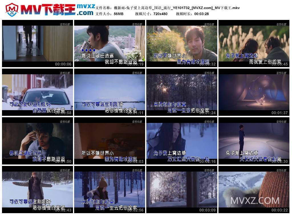 魏新雨-兔子爱上窝边草_国语_流行_YE101732